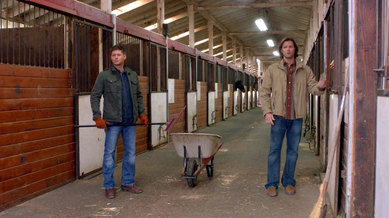 Sam & Dean work the farm.